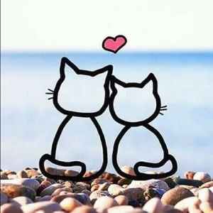 Meet your Posher, Davey